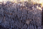 Peat. Peat being cut on the west coast of Scotland between Scourie and Durness.  par denisbin  Licence :  CC BY-ND 2.0 Deed  Original picture : https://www.flickr.com/photos/82134796@N03/10736297794